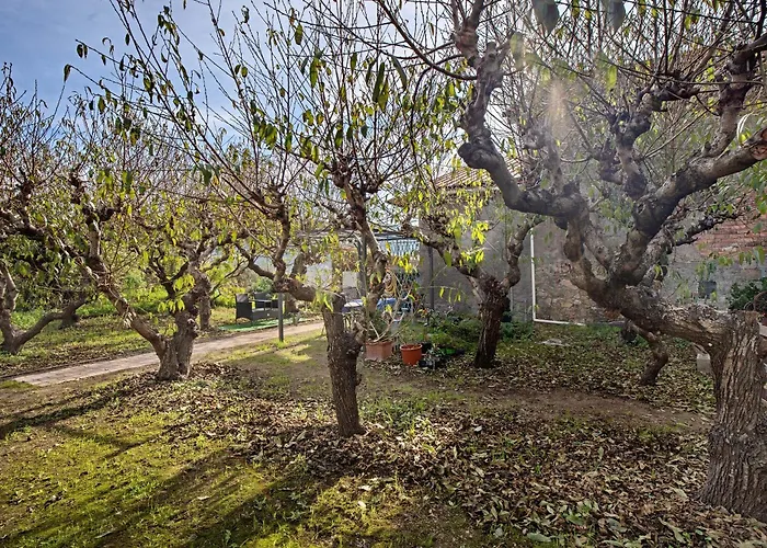 Casa * Vallebona